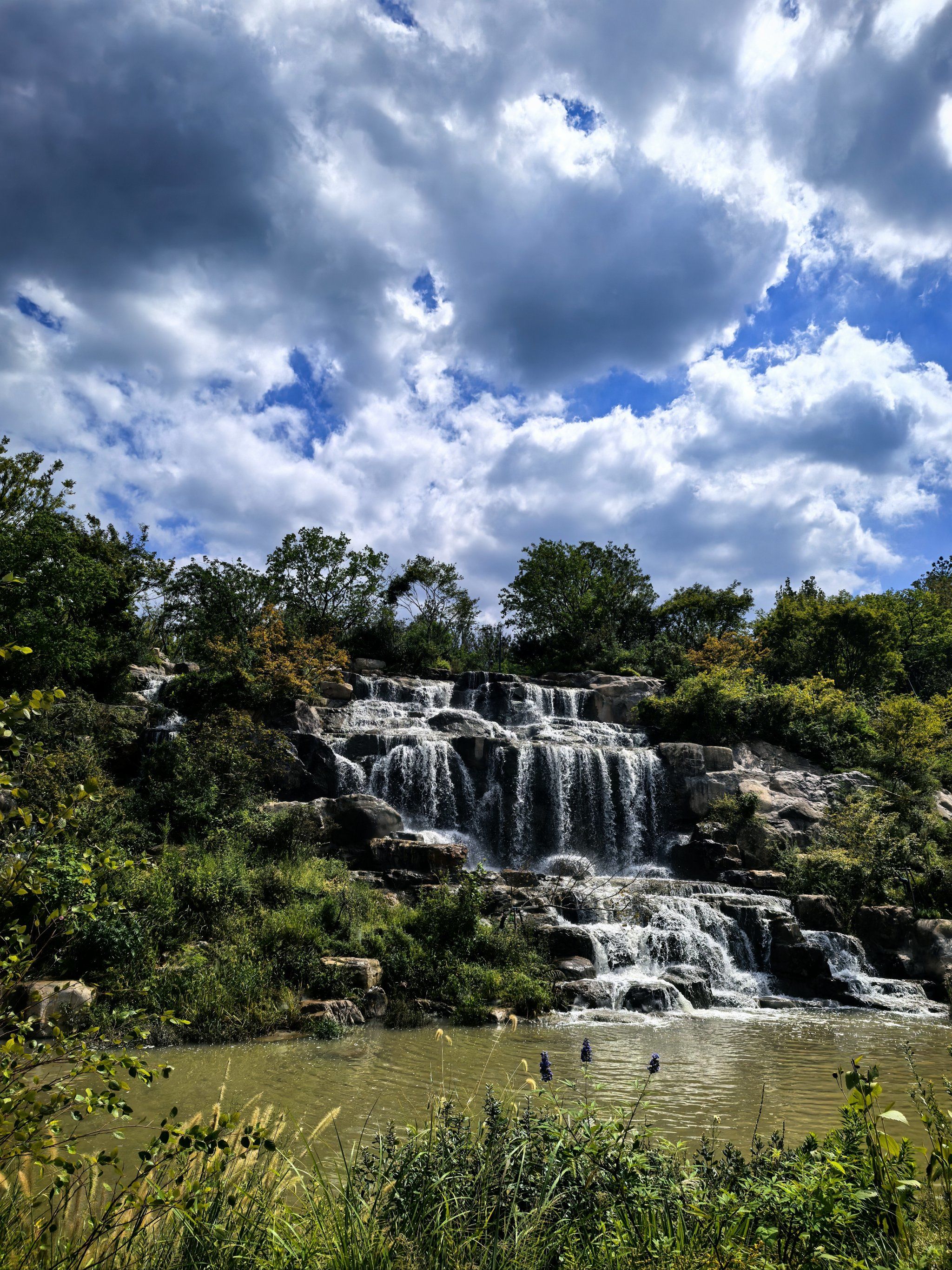 《租服务器,一天只要一杯奶茶钱?真实价格大揭秘!》